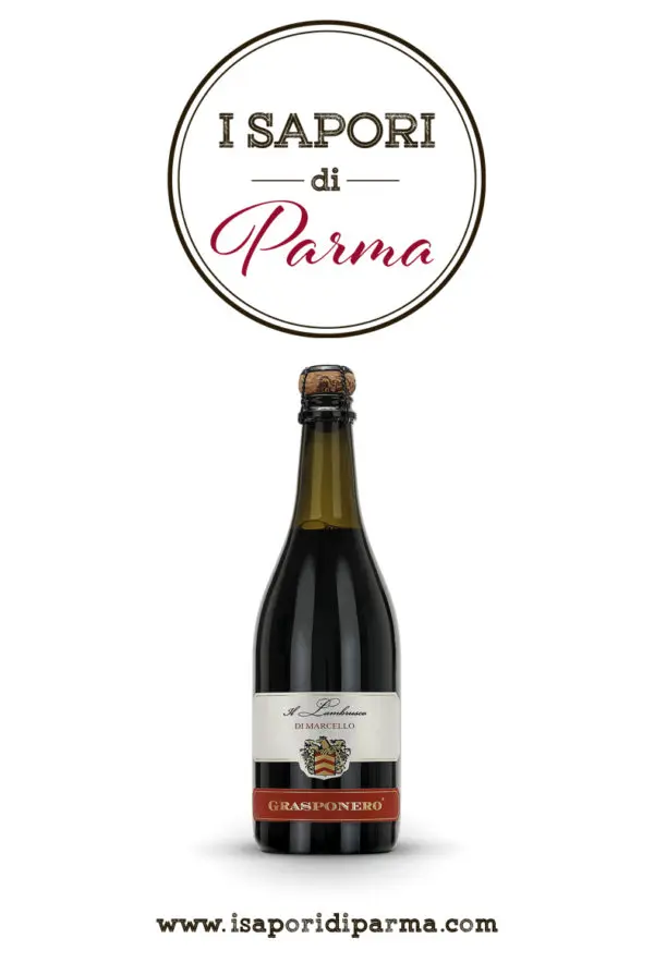 Lambrusco Grasponero IGP Vino classico