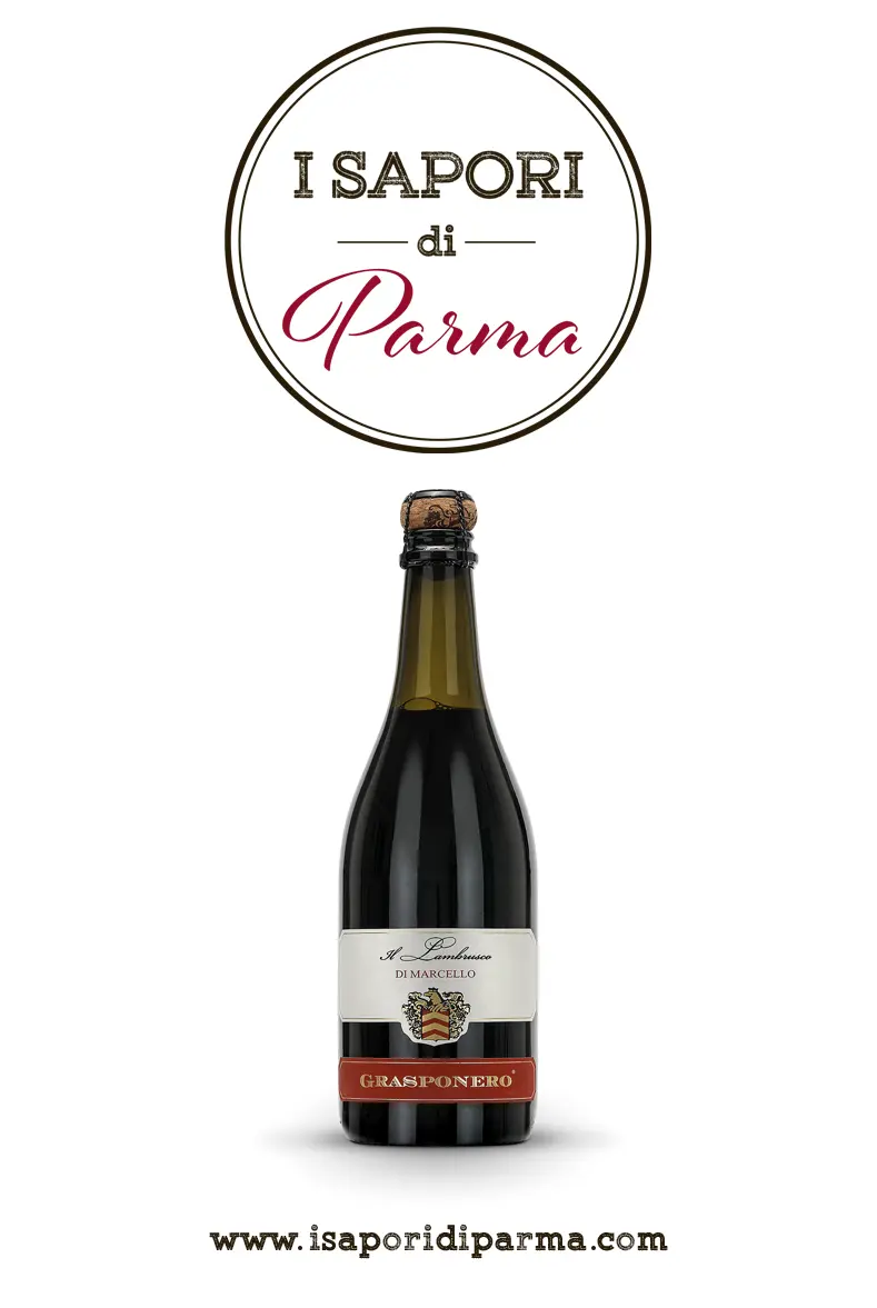 Lambrusco Grasponero IGP Vino classico